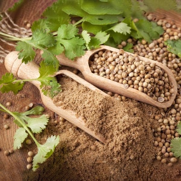 Coriander Powder